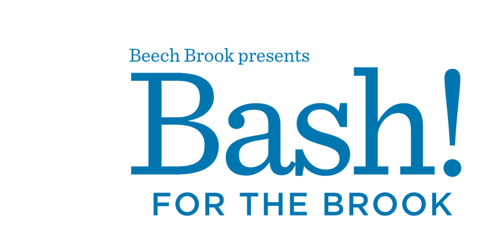 Bash for the Brook Header